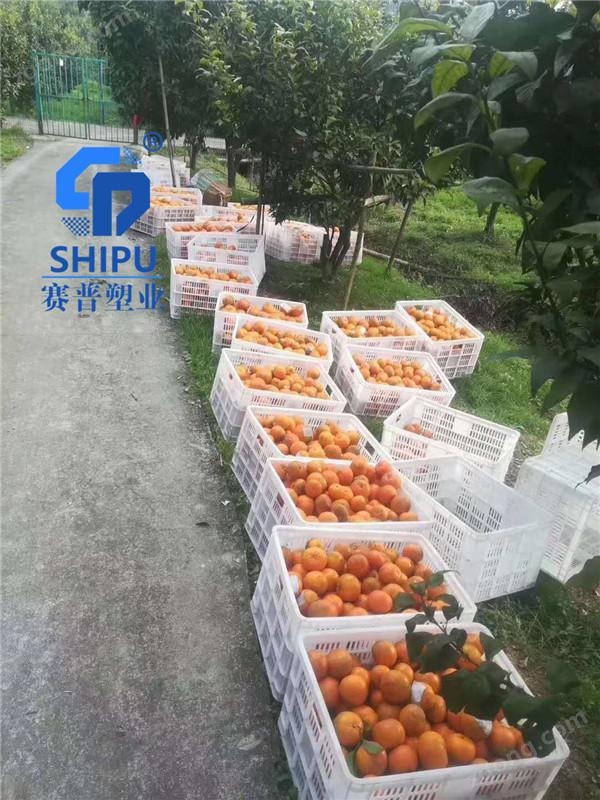 塑料筐_副本2.jpg