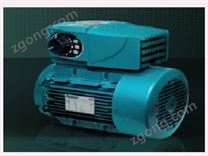 GT集成電機(jī)和控制器