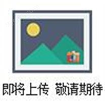 MS1C138C，SEKO機(jī)械隔膜計(jì)量泵